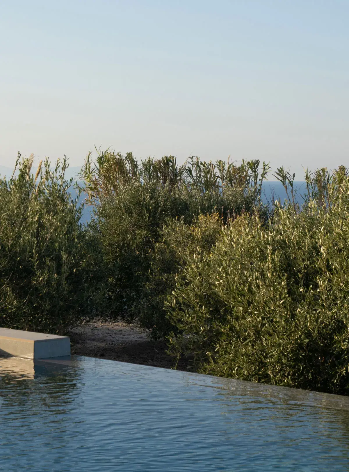 Your Heated Pool